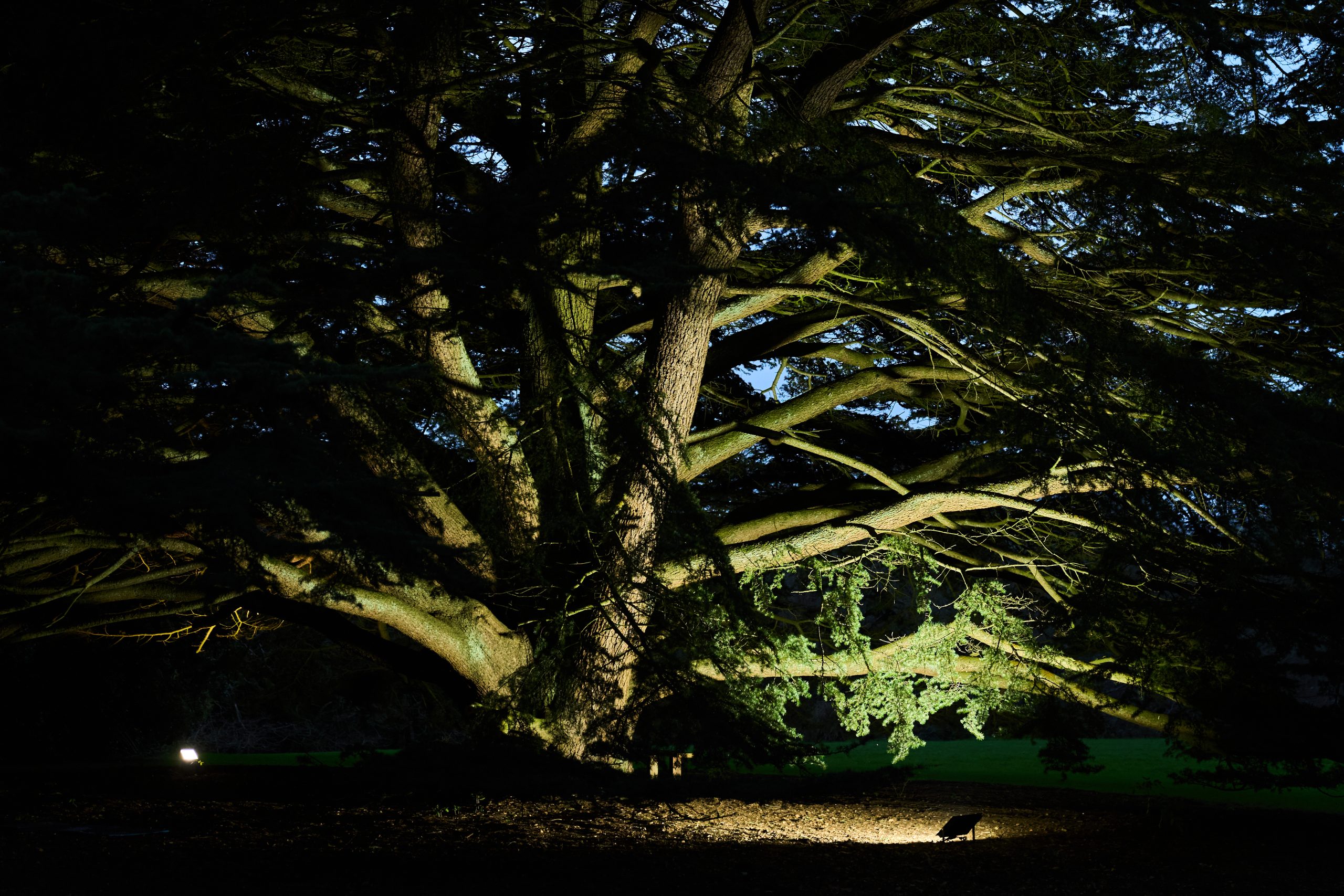 Grace Dieu Manor Park